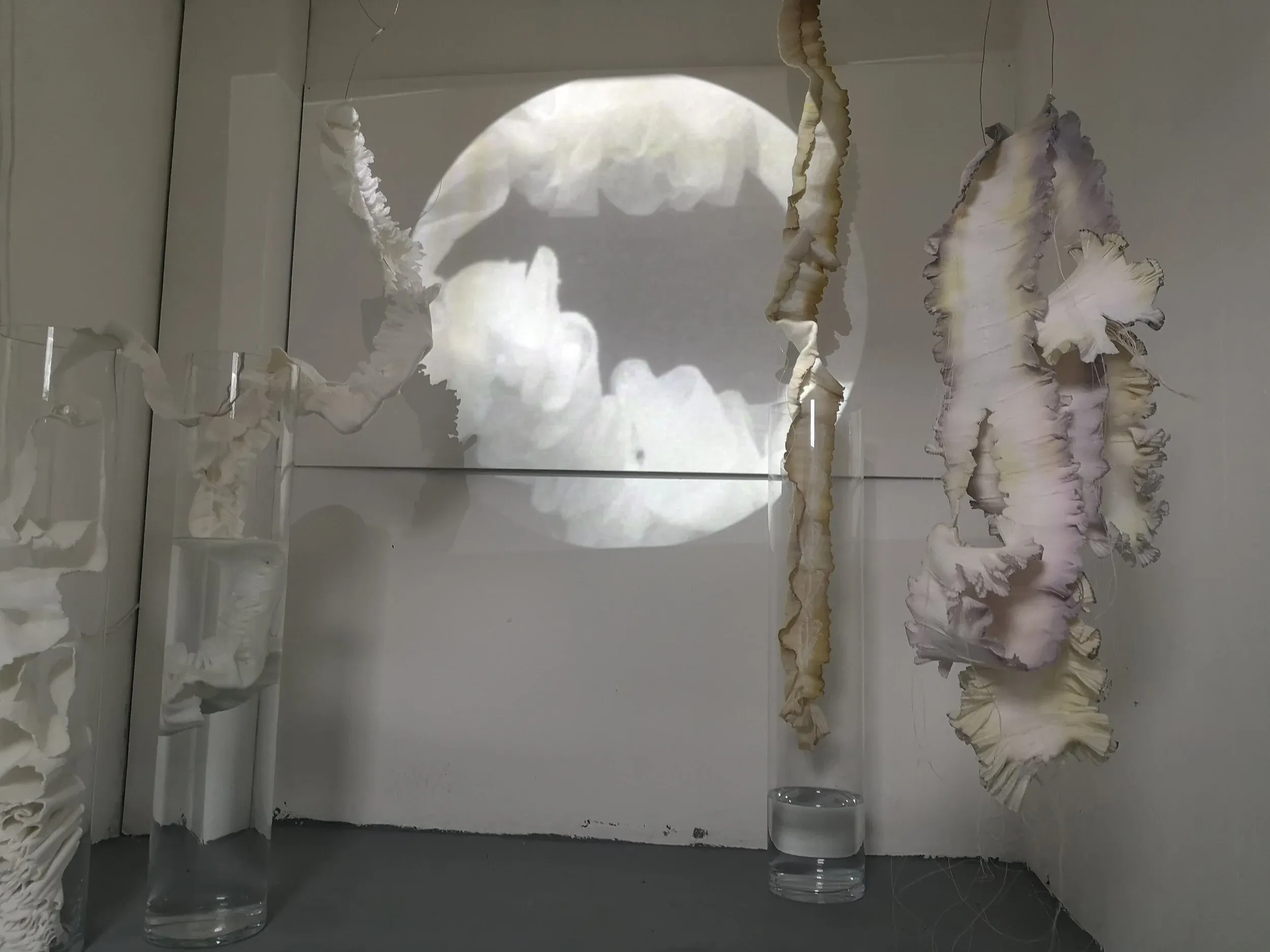 A still from the Kath Lovett exhibition at the Black Box Gallery