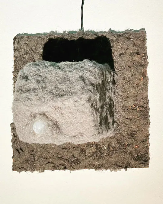 Dr Liana Psarologaki – Metatum