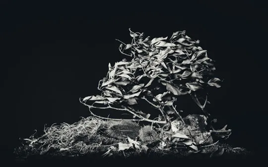 Laura Brooker –&nbsp;Cataclysm