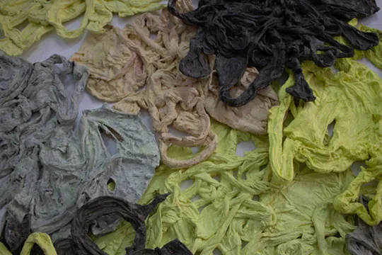 Maxine Chester – Disappearing Act