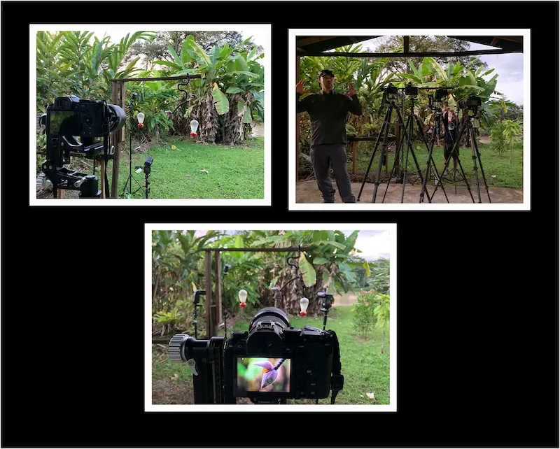 A trio of images showing how Marilyn Taylor's photoshoot was set up in Costa Rica