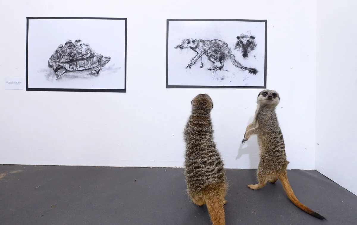 Meerkats at art exhibition