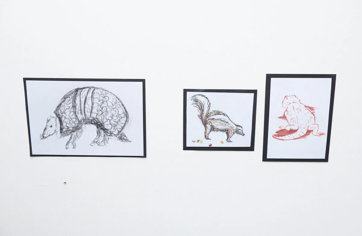 Student work on display at the animal life drawing exhibition
