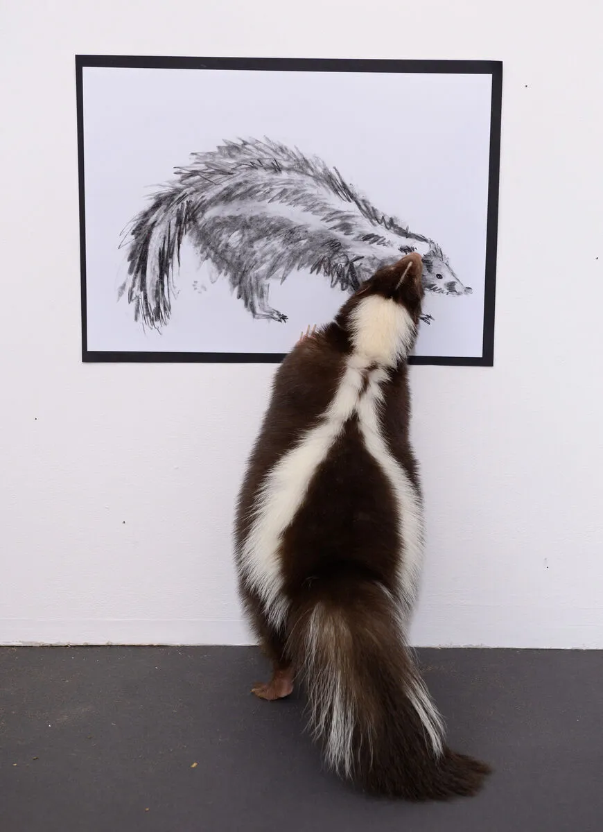 Skunk at art exhibition