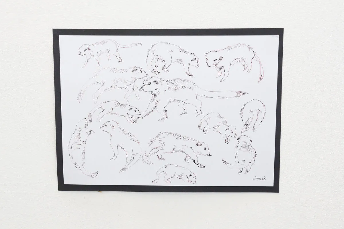 Student work on display at the animal life drawing exhibition