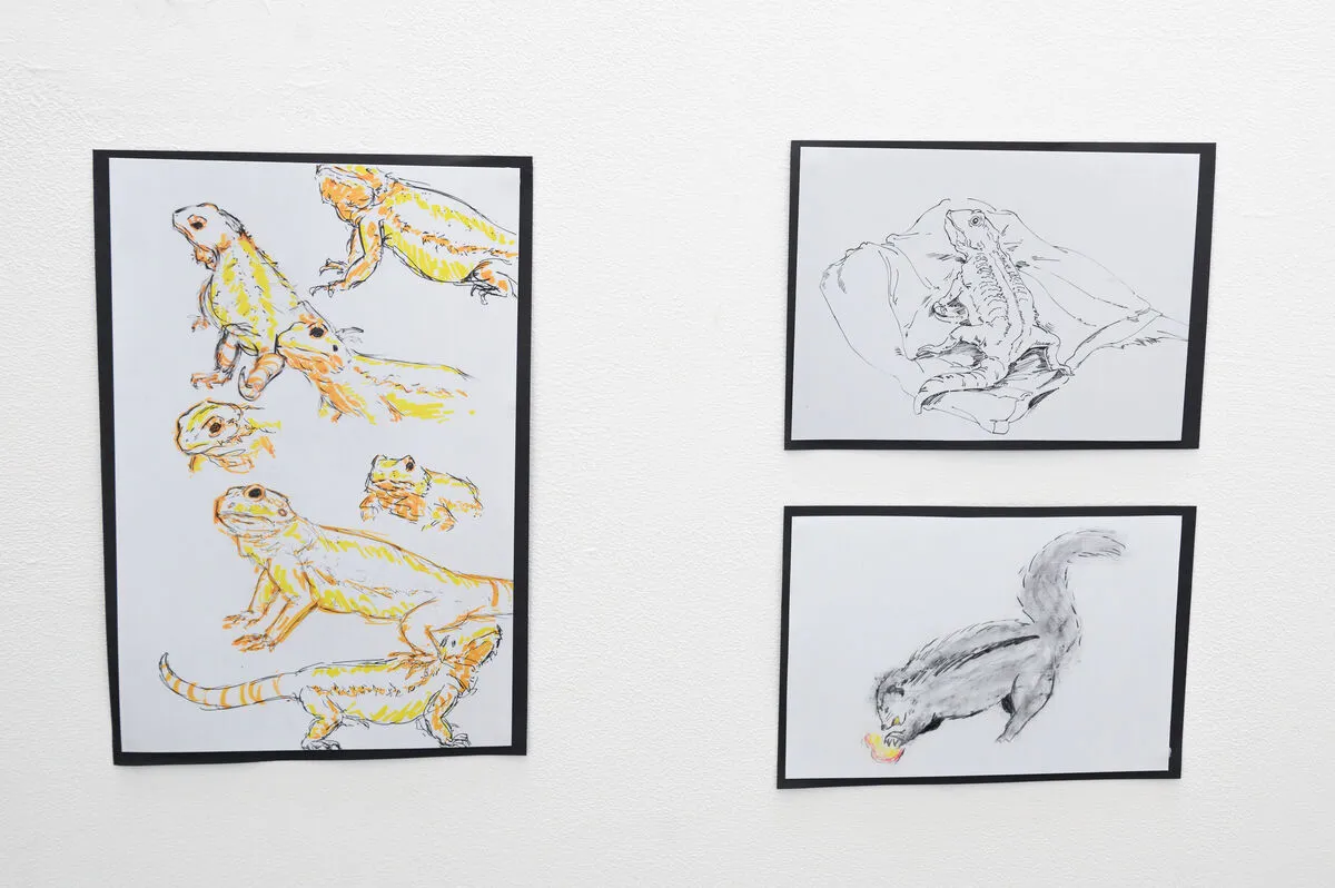 Student work on display at the animal life drawing exhibition
