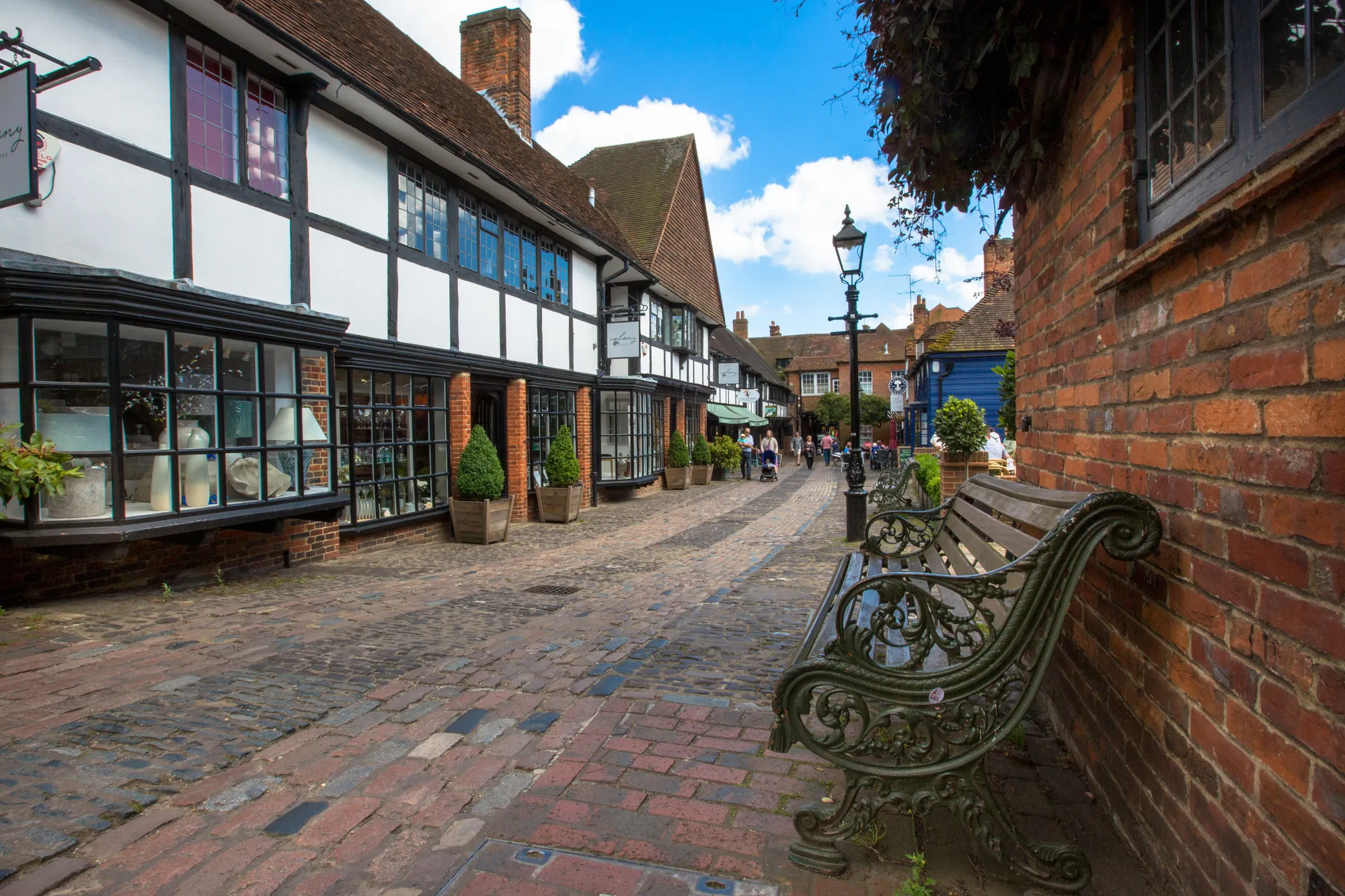 Lion and Lamb Yard, Farnham
