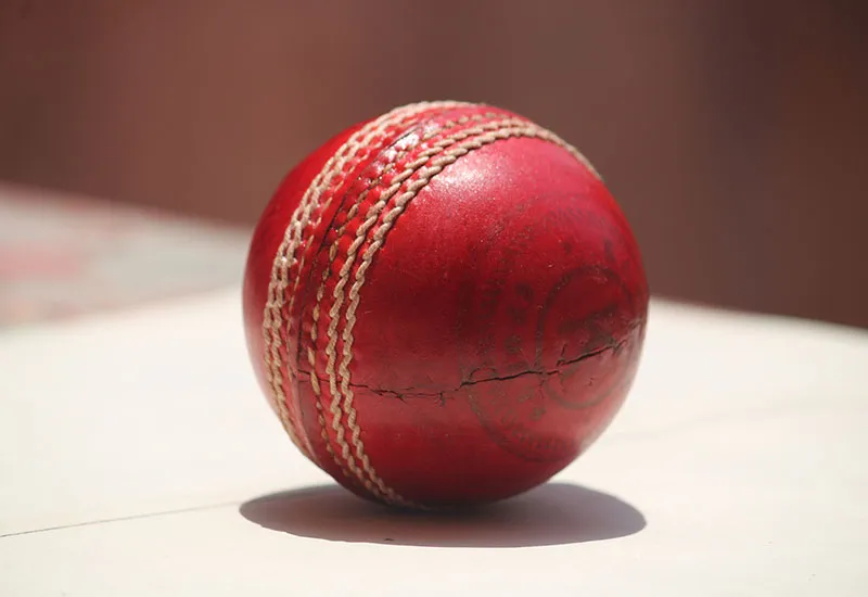 Sustainable Cricket Gear