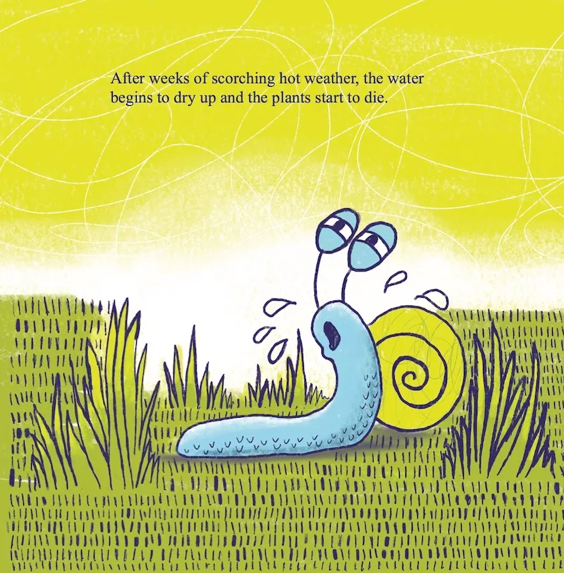 Pond Life. Illustrations by Craig Montgomery