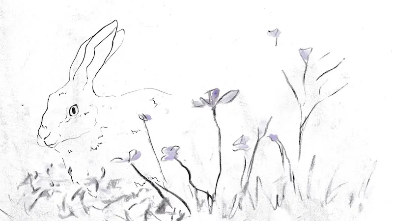 'Strokes of Wildflowers' still by Livvy Seabrook