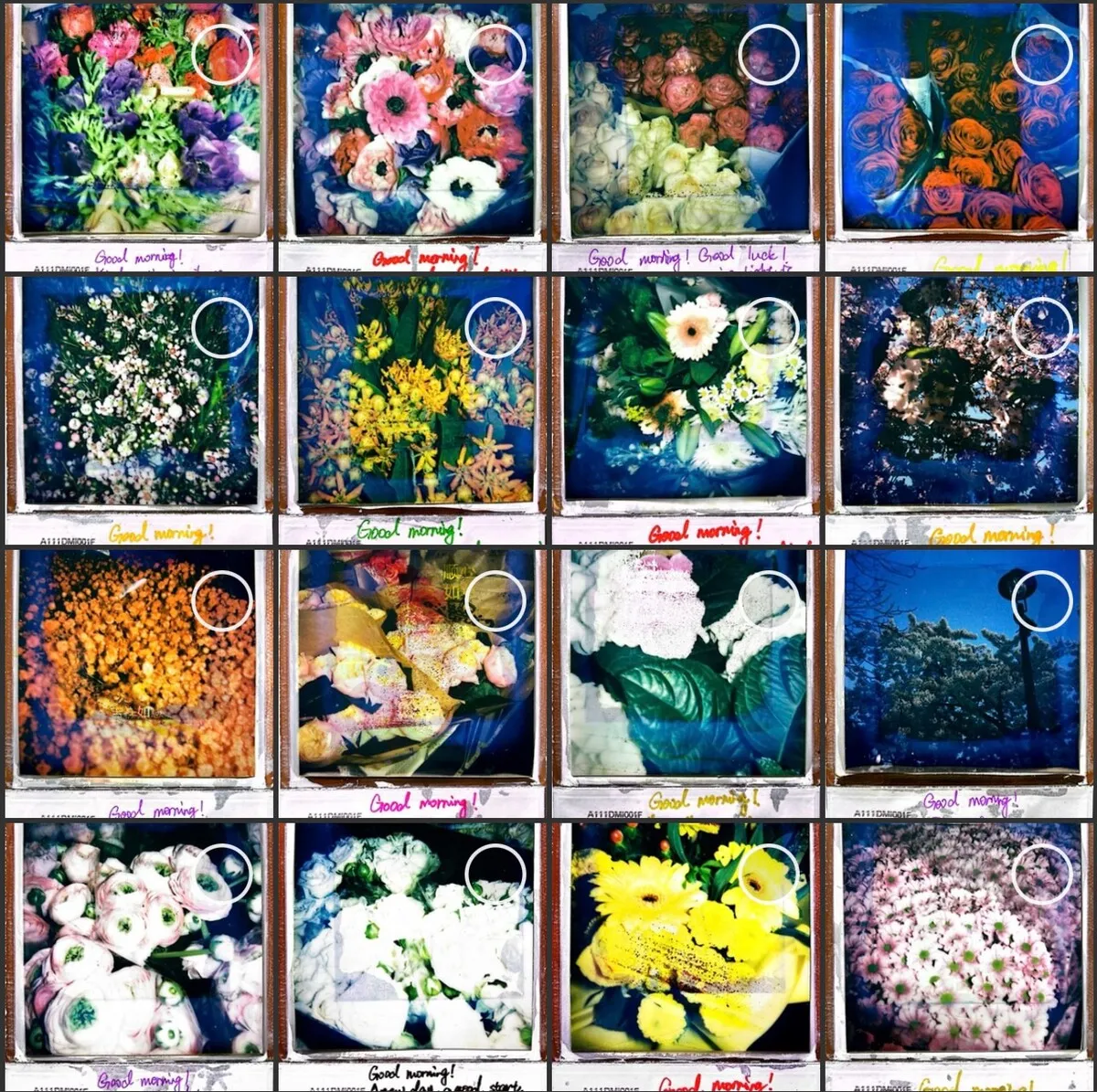 Ruilin Liang, MFA Photography, UCA Farnham
