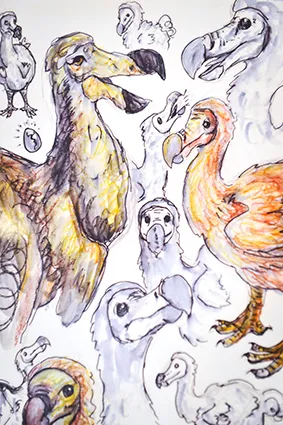 Jasmine Haskell - BA Design for Theatre Film and Performance