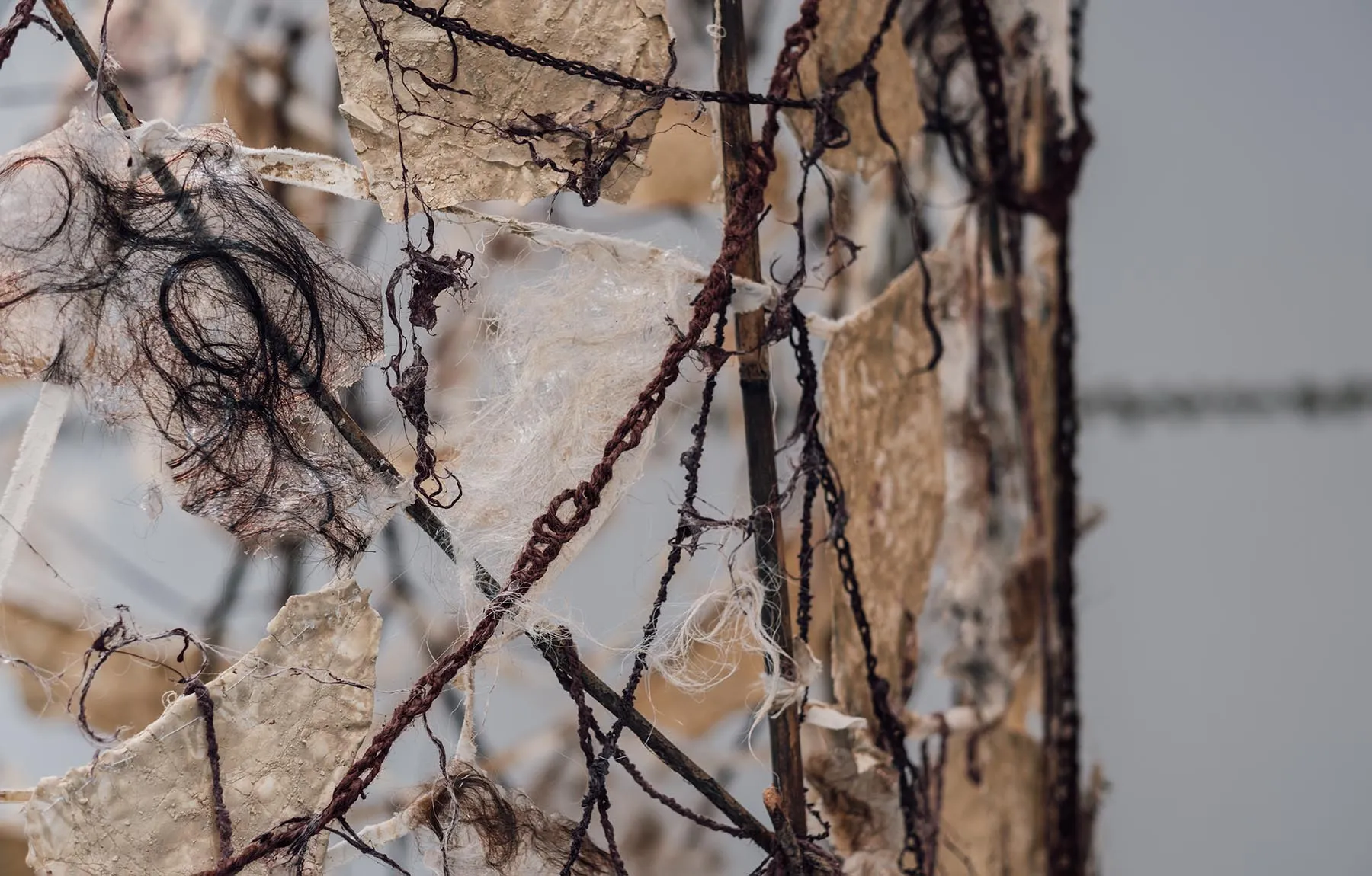 Amelia Gunn-Dalby, BA (hons) Fine Art, UCA Farnham