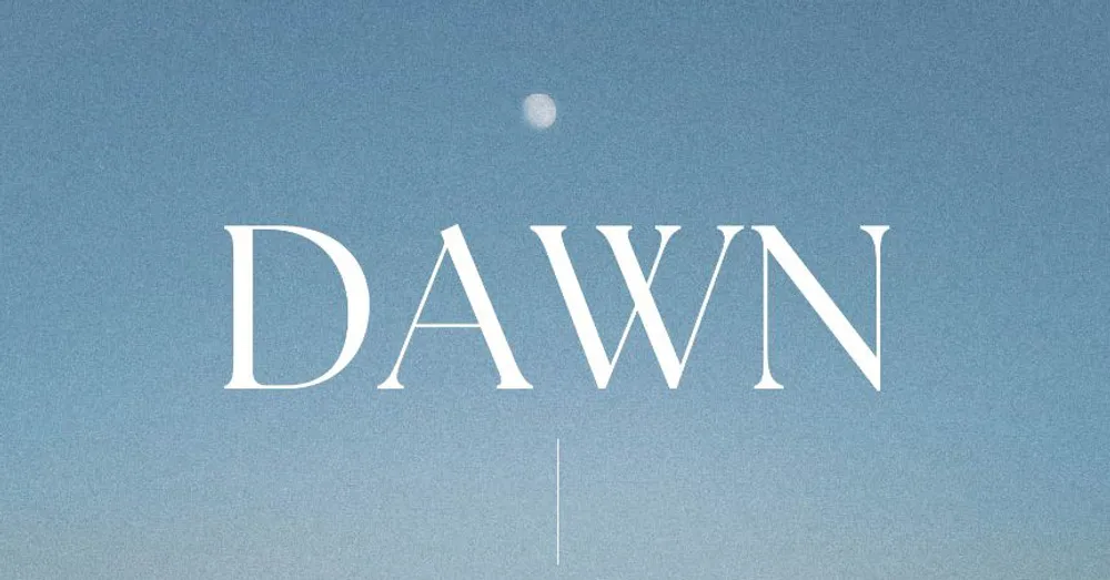 dawn. exhibition