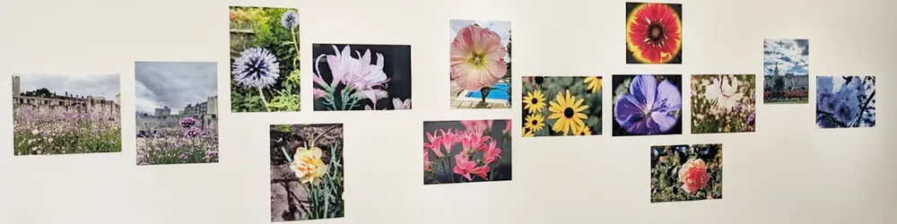Say it with flowers