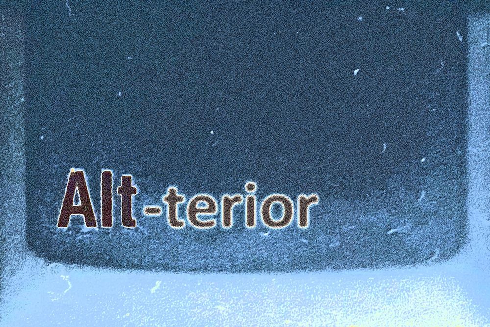 Alt-terior exhibition image Alt-terior exhibition image