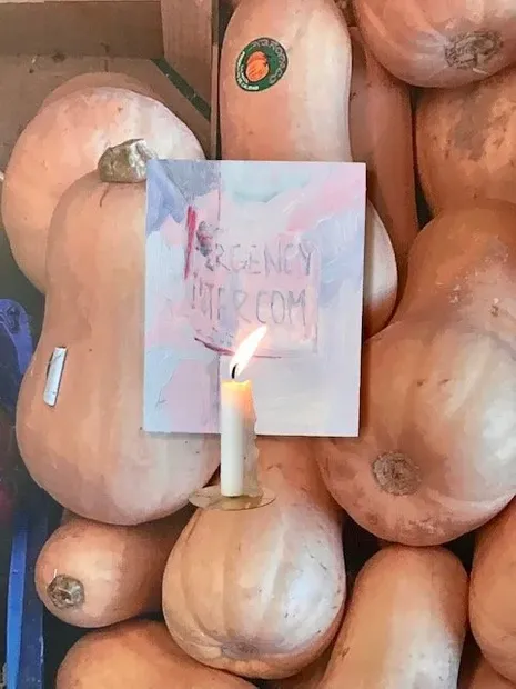 Inside the exhibition 'And One Day the Apple Fell'