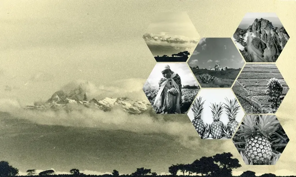 A still from Gathering Storm by David Blandy