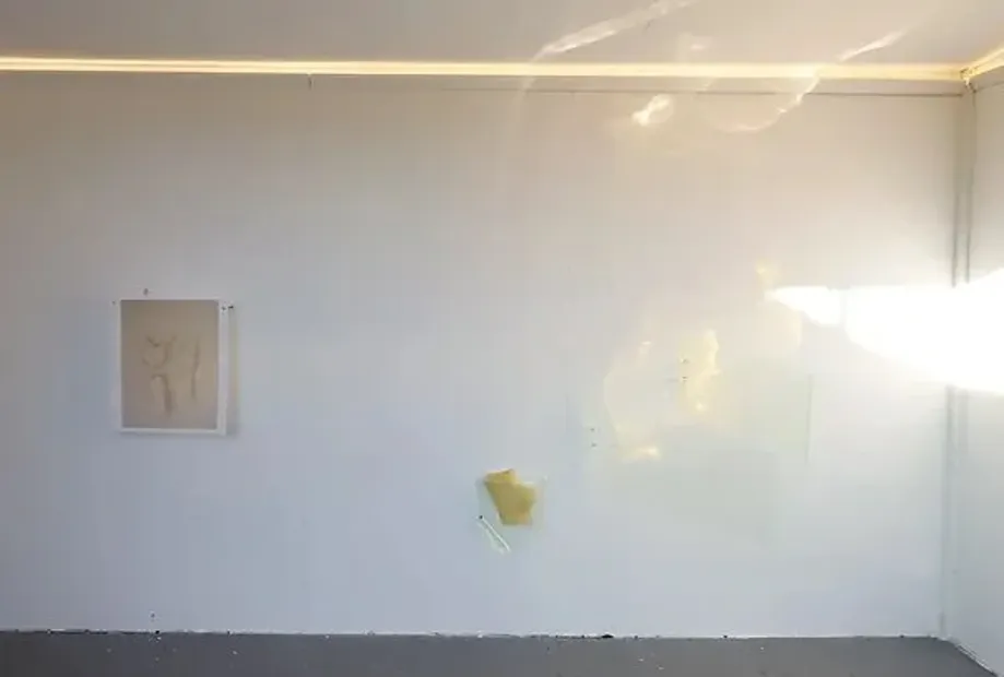 Inside the 'Protruding' exhibition