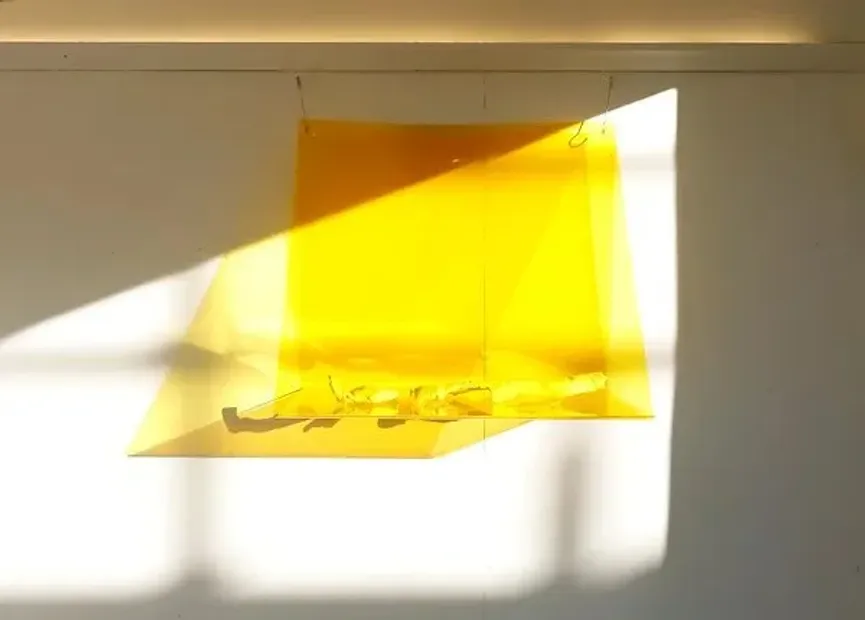 Inside the 'Protruding' exhibition