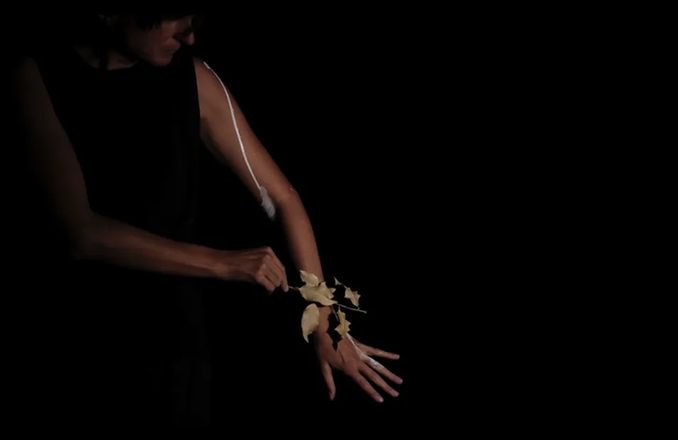 A still from the exhibition What Else Is There by Marita Bullmann