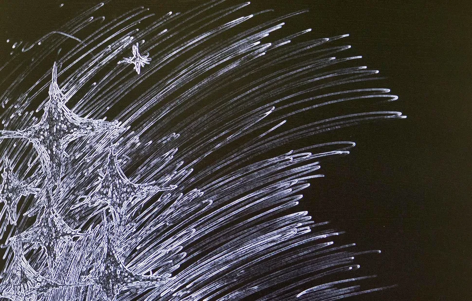 Chenyu Ma, International Foundation