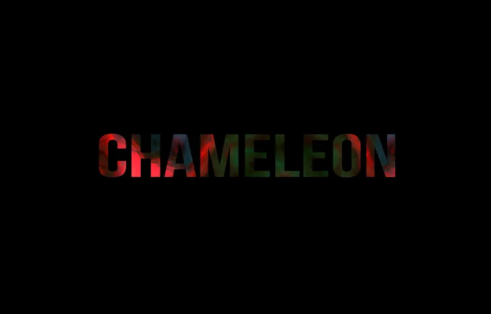 Chameleon, MA Filmmaking, UCA Farnham
