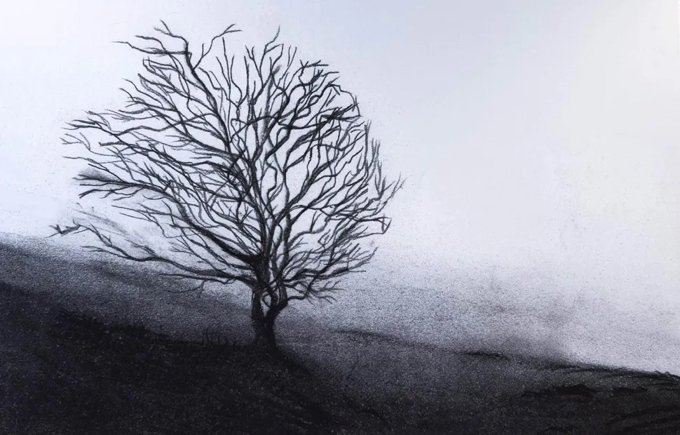 Eloise Dilnutt, BA (Hons) Illustration, UCA Farnham