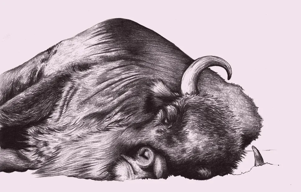 Ronice Appleby-Kerr, BA (Hons) Illustration, UCA Farnham