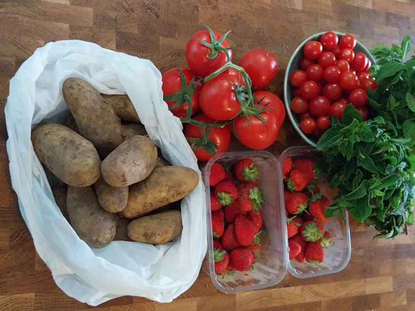 Potatoes, Strawberries, Tomatoes and Mint