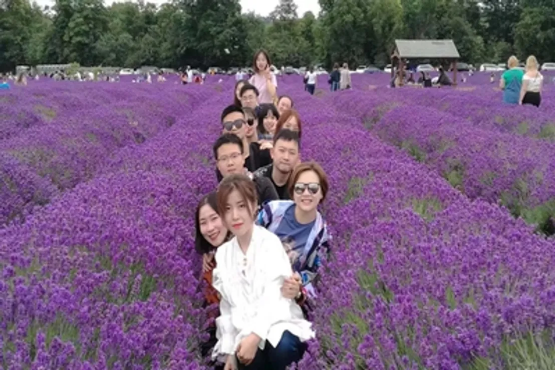 Day Trip to Lavender Fields
