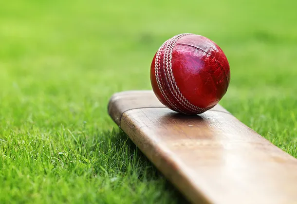 Sustainable Cricket Gear
