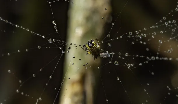 Eleanor Bangert, BA (Hons) Photography, UCA Farnham