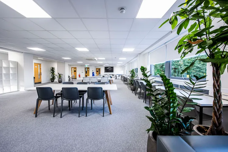 Rochester House - large open learning space with seating and greenery