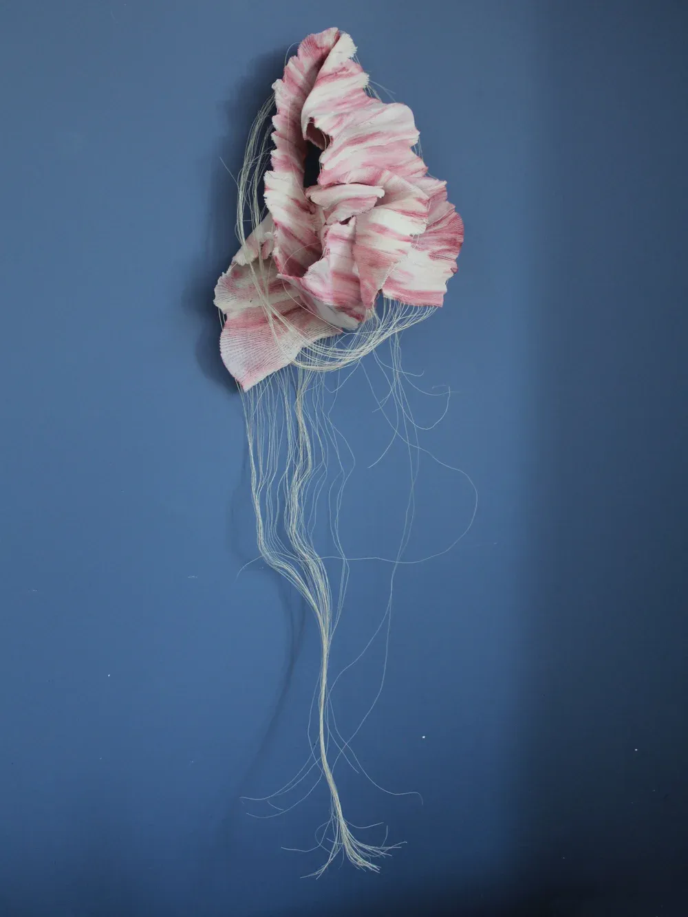 A still from the Kath Lovett exhibition at the Black Box Gallery