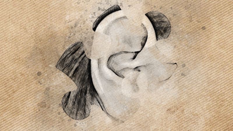 Animated still from Emily Larkin's final piece, showing an ear Animated still from Emily Larkin's final piece, showing an ear