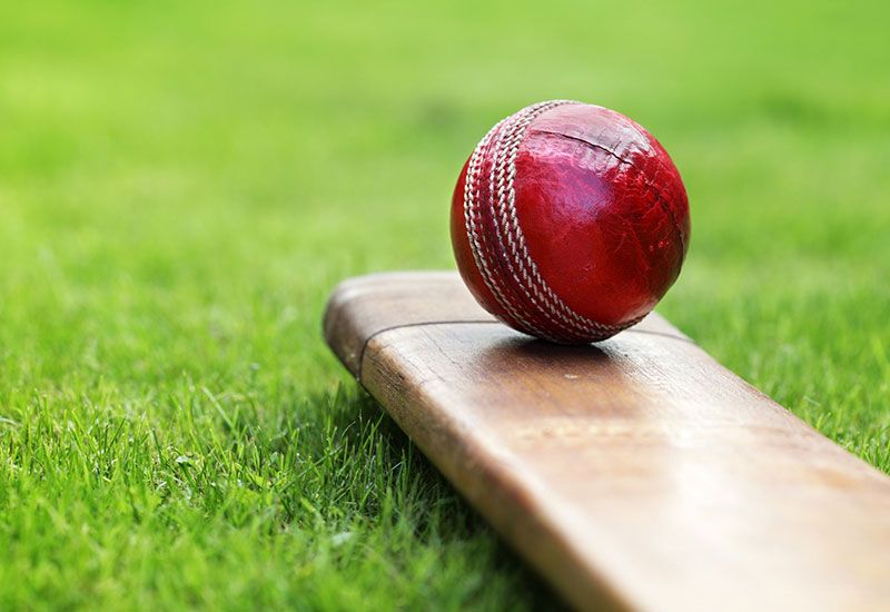 Sustainable Cricket Gear Sustainable Cricket Gear