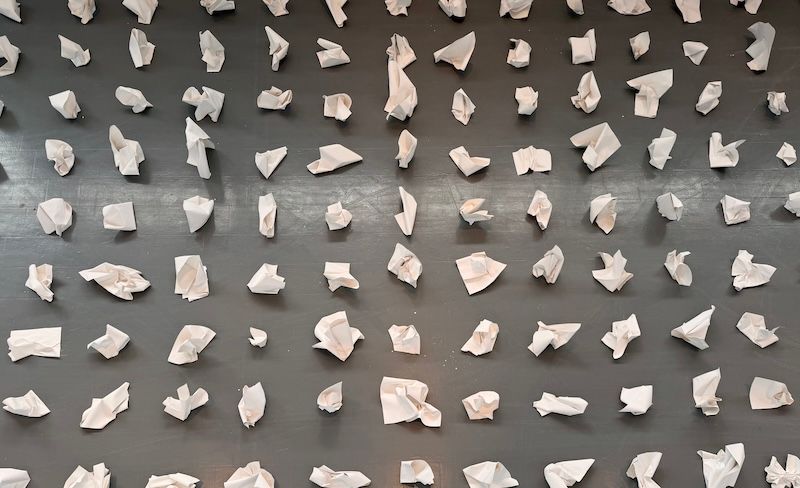 Taxonomy of Imperfection by Ana Carceller Córdoba